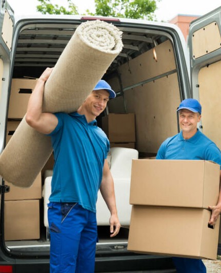 dream trans 1 800x534